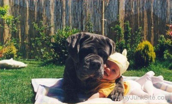 Baby Hug With Dog