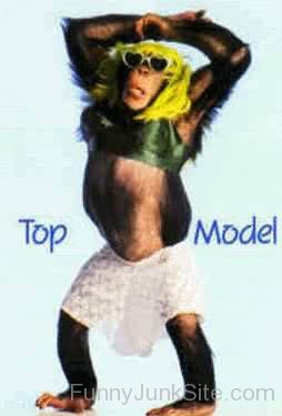 Chimpanzee Top Model