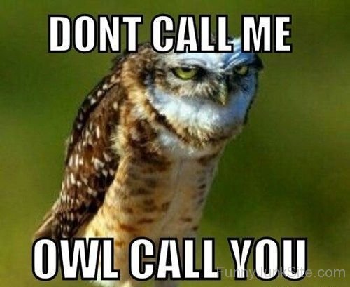 Don't Call Me Owl