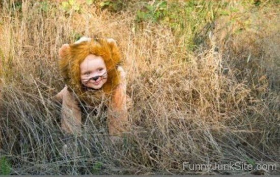 Funny Baby Lion Look