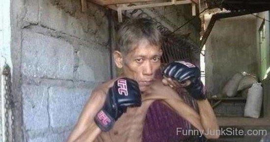 Funny Boxer Photo