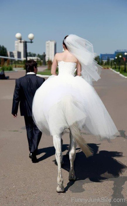 Funny Bride On Horse