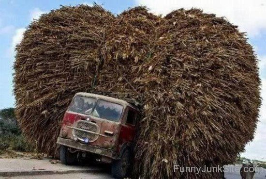 Funny Truck Loader Indian Style