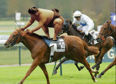 Horse Riding Funny Photo