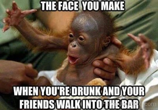 Monkey Funny Face After Drink