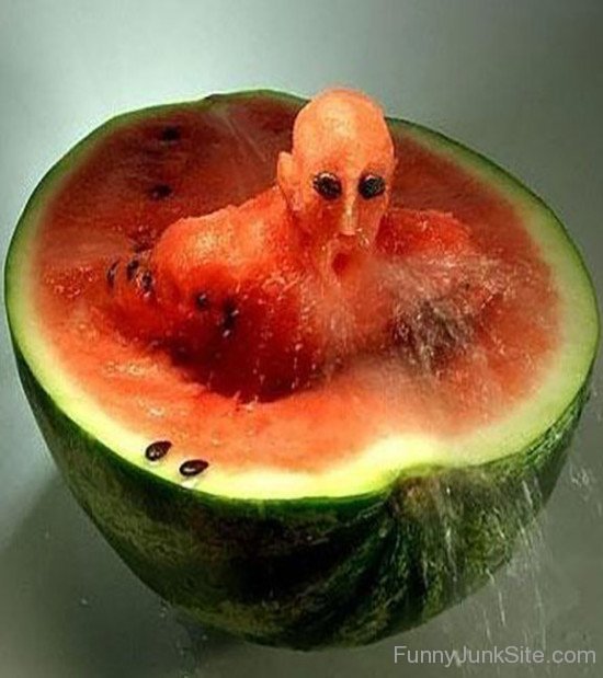 Watermelon Funny Photo