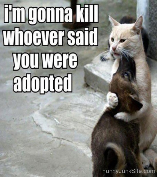 Whoever Said You Were Adopted Funny Animal