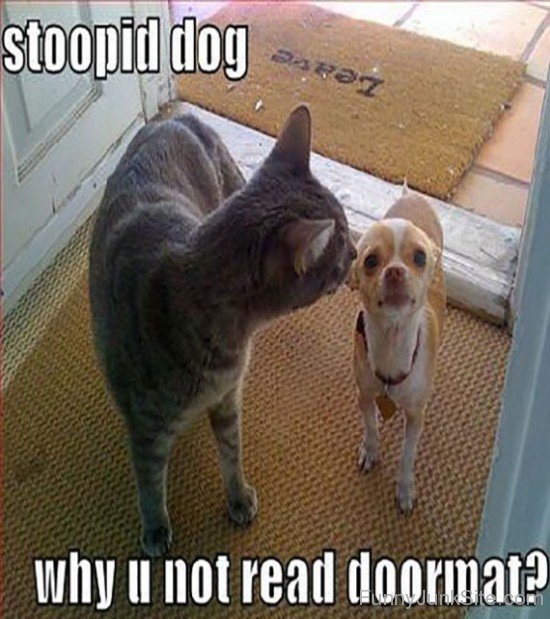 Why You Not Read Doormat Stoopid Dog Funny Photo