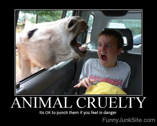 Animal Cruelty Poster