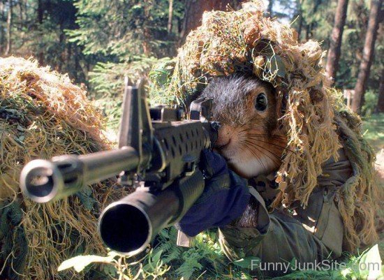 Army Ranger Squirrels