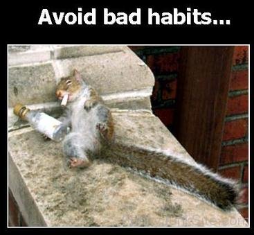 Avoid Bad Habbits