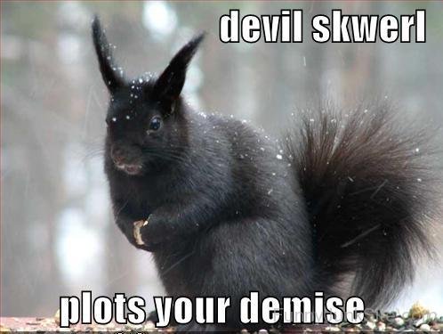 Devil Squirrels