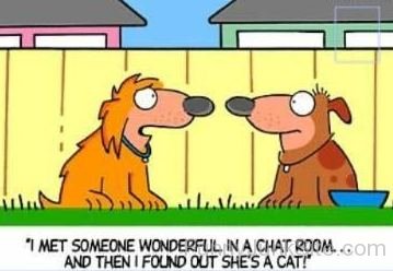 Dog Chat Room