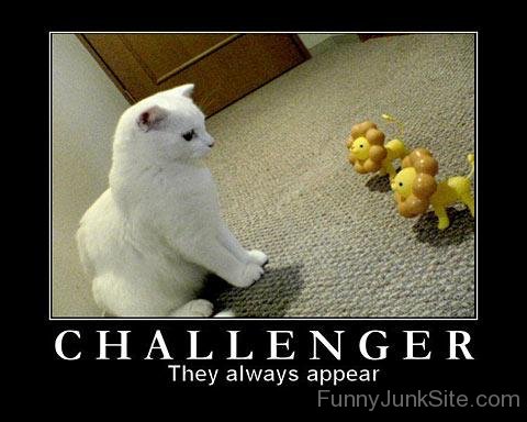 Funny Poster Of Challenger