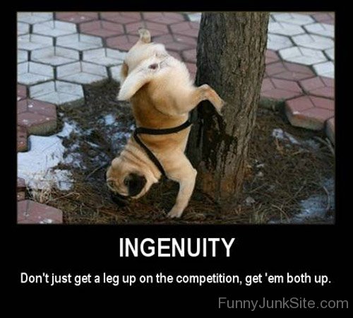 Funny Poster Of Ingenuity