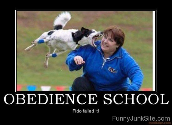 Obedience School