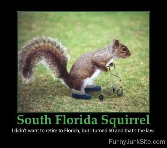 South Florida Squirrel Funny Poster