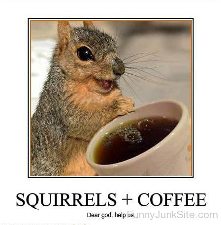 Squirrels Plus Coffee