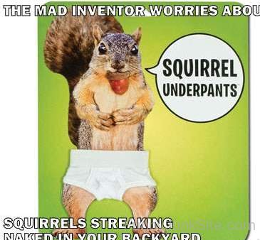 Squirrels Underpants