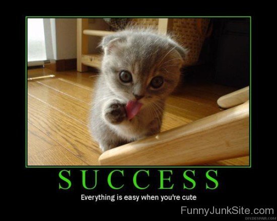 Success Funny Poster