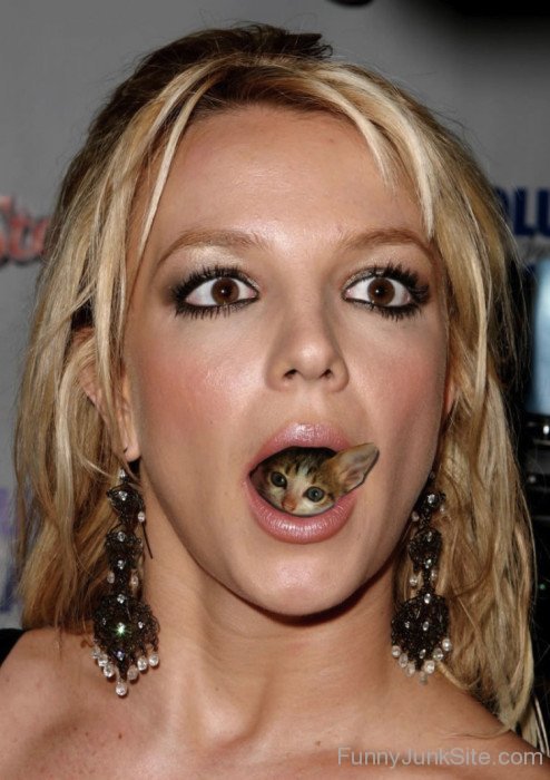 Britney Spears Eating Cat
