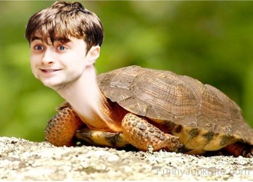 Funny Daniel Radcliffe Image