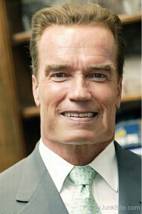 Funny Face Of Arnold Schwarzenegger