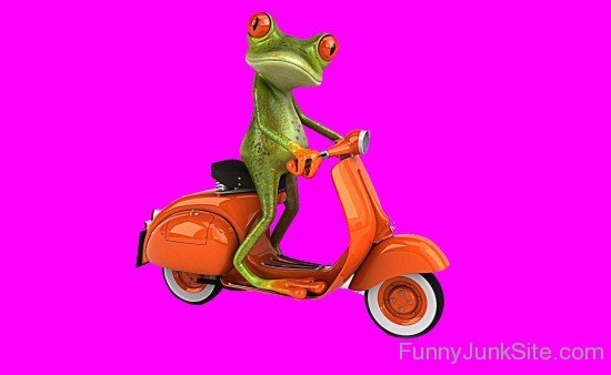 Funny Frog Drive Scooter