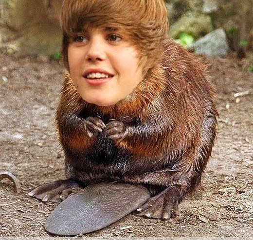 Funny Justin Bieber