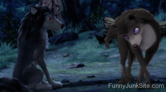 Funny Lovely Wolfs