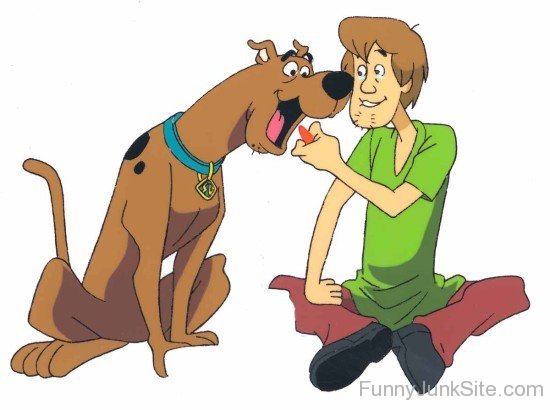 Funny Scooby Doo And Shaggy