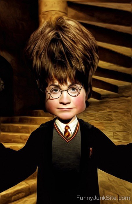 Harry Potter Funny Hair