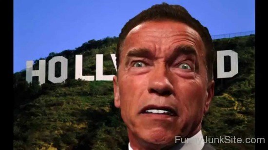 Hollywood Arnold Schwarzenegger