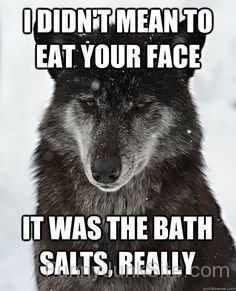 Wolf Funny Picture