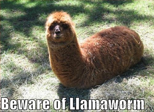 Beware Of Llamaworm