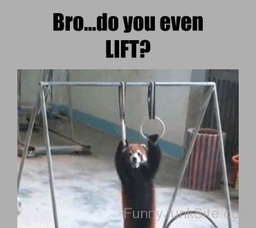 Bro Do You Even Lift