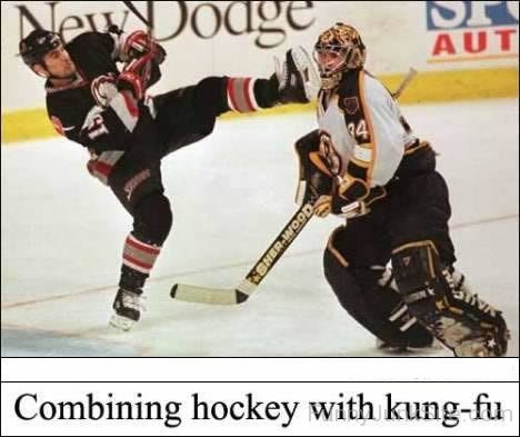 Combining Hockey With Kung Fu