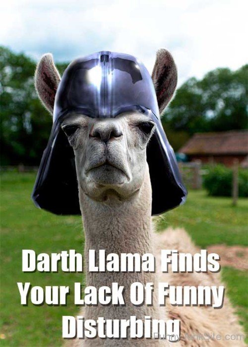 Darth Llama