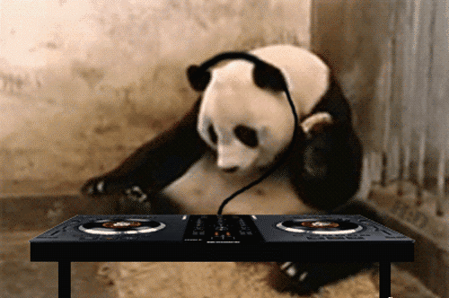 Disc Jocky Panda