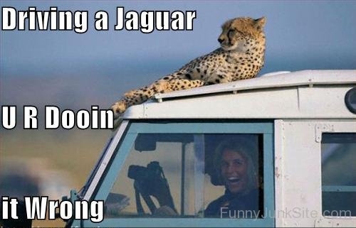 Driving A Jaguar
