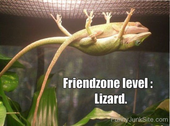 Fiendzoned Lizard