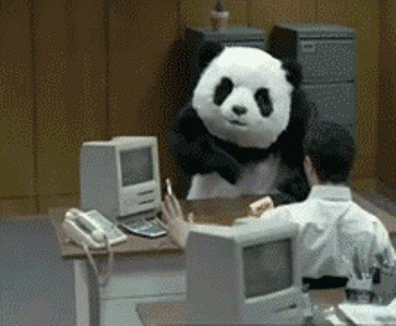 Funny Angry Panda