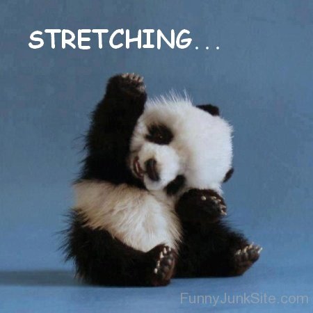 Funny Baby Panda Streching