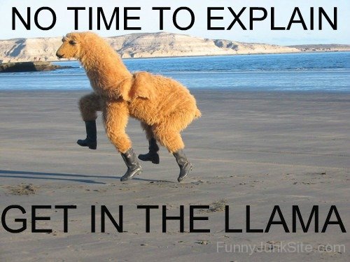 Funny Cool Llama Costume