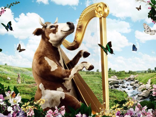 Funny Cow Harp