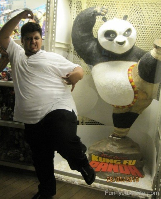 Funny Kung Fu Panda