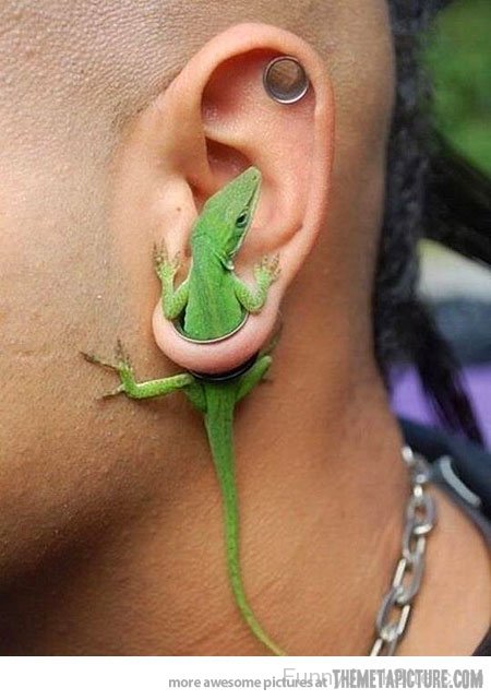 Funny Lizard Earring