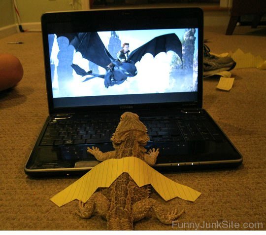 Funny Lizard Work Laptop