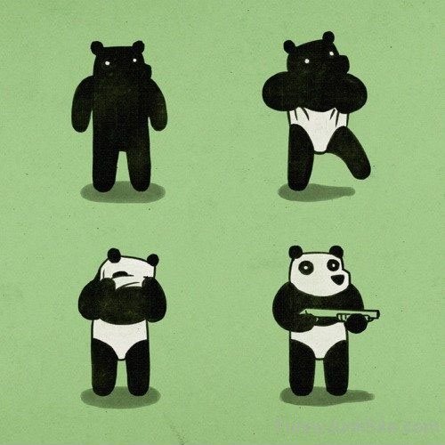 Funny Panda Picture