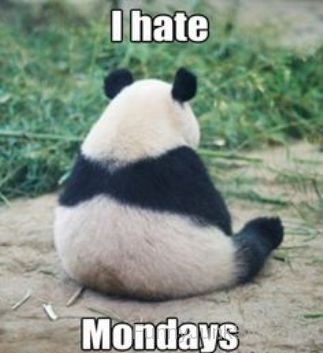 Hate Monday